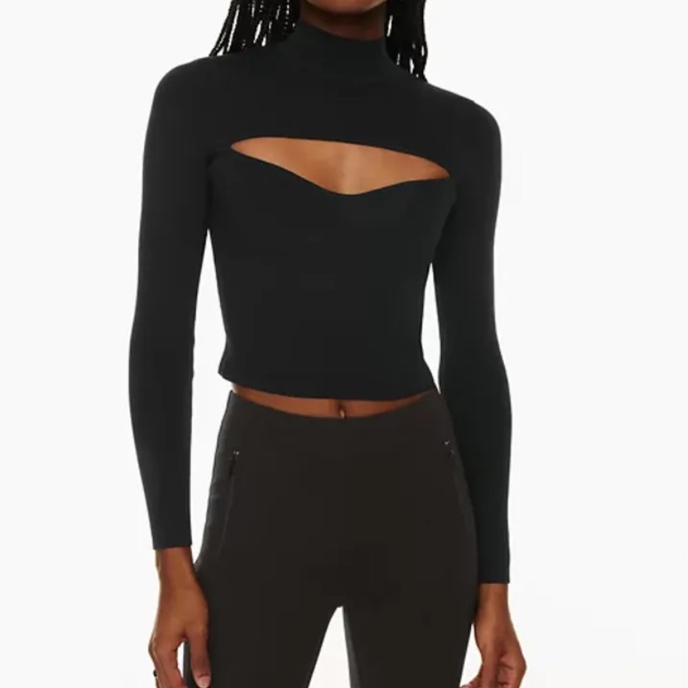 Aritzia Babaton Top (New Without Tags)